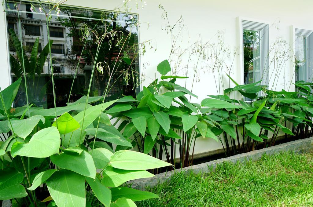 Paris Angkor Boutique Hotel Siem Reap Luaran gambar
